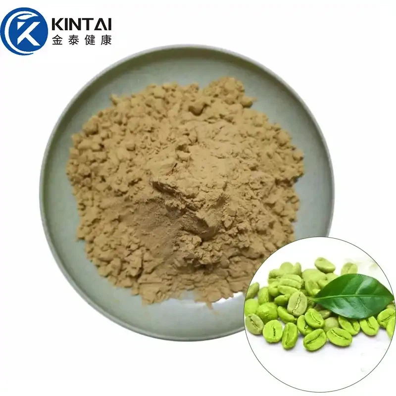 Pols d'extracte de gra de cafè verd